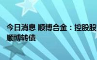 今日消息 顺博合金：控股股东王真见等合计减持公司12.6%顺博转债