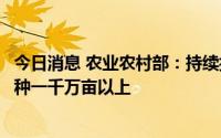 今日消息 农业农村部：持续抓好大豆和油料扩种，力争再扩种一千万亩以上