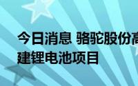 今日消息 骆驼股份高开逾5%，拟68亿元投建锂电池项目