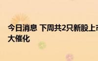 今日消息 下周共2只新股上市：创业板绿通科技、北交所凯大催化