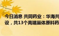 今日消息 共同药业：华海共同拟规划建设的项目分为2期建设，共13个高端甾体原料药