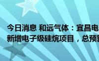 今日消息 和远气体：宜昌电子特气及功能性材料产业园项目新增电子级硅烷项目，总预算4883万元