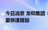 今日消息 龙佰集团：目前公司钛白粉订单数量快速增加