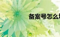 备案号怎么填（备案号）