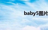 baby5图片（Baby-5）
