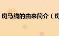 斑马线的由来简介（斑马线的由来简介介绍）