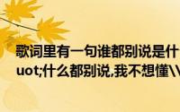 歌词里有一句谁都别说是什么歌（有一首歌中有一句:\"什么都别说,我不想懂\",是什么歌啊）