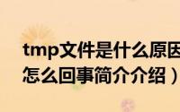 tmp文件是什么原因（电脑出现tmp文件是怎么回事简介介绍）