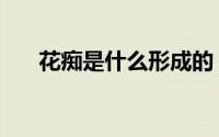 花痴是什么形成的（花痴是什么意思）
