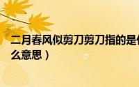 二月春风似剪刀剪刀指的是什么（二月春风似剪刀剪刀是什么意思）