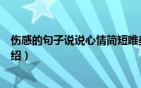 伤感的句子说说心情简短唯美（伤感的句子说说心情简介介绍）