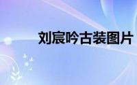 刘宸吟古装图片（刘宸吟的介绍）