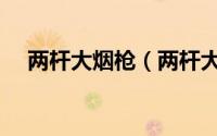 两杆大烟枪（两杆大烟枪到底说的什么）