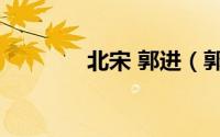 北宋 郭进（郭思 北宋官吏）