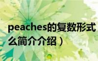 peaches的复数形式（peach的复数形式是什么简介介绍）