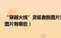 “穿越火线”灵狐者脱图片有哪些（“穿越火线”灵狐者脱图片有哪些）
