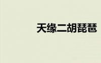 天缘二胡琵琶（天缘 上中下）