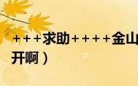 +++求助++++金山网镖2010beta版（打不开啊）
