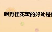 喝野桂花蜜的好处是什么（天天喝可以吗）
