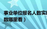 事业单位报名人数实时统计（事业单位报名人数哪里看）