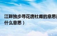 江畔独步寻花唐杜甫的意思是什么（杜甫的江畔独步寻花是什么意思）