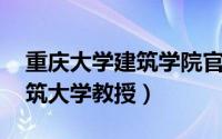 重庆大学建筑学院官网副教授（兰海 重庆建筑大学教授）