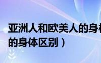 亚洲人和欧美人的身材比例（亚洲人和欧美人的身体区别）