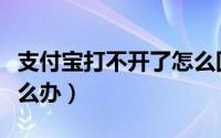 支付宝打不开了怎么回事（支付宝打不开了怎么办）