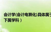 会计学(会计电算化)具体属于什么专业（会计电算化 会计学下属学科）