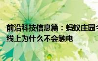 前沿科技信息篇：蚂蚁庄园今天小鸡考你问答 小鸟站在高压线上为什么不会触电