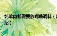 炖羊肉都需要放哪些调料（炖羊肉时应该放什么调料简介介绍）