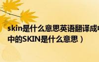 skin是什么意思英语翻译成中文（化妆品标注有一些英文其中的SKIN是什么意思）