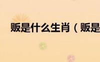 贩是什么生肖（贩是什么意思\"）