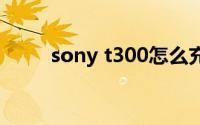 sony t300怎么充电（sonyt300）