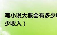 写小说大概会有多少收入（写小说大概会有多少收入）