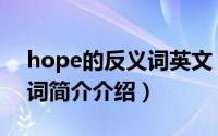 hope的反义词英文（hope的形容词及反义词简介介绍）