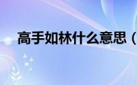 高手如林什么意思（高手如林什么意思）