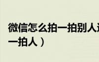 微信怎么拍一拍别人还亲了一口（微信怎么拍一拍人）