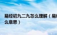 易经初九二九怎么理解（易经中的初九九二初六六二都是什么意思）