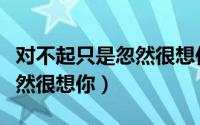 对不起只是忽然很想你小视频（对不起只是忽然很想你）