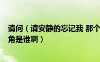 请问（请安静的忘记我 那个有雪景 学生 的 MV里的男女主角是谁啊）