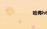 哈弗h6运动版