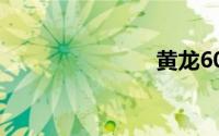 黄龙600颜色