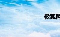 极狐阿尔法s