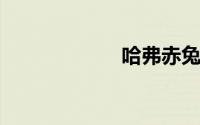 哈弗赤兔真实口碑