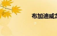 布加迪威龙最高速度