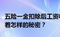 五险一金扣除后工资收入详解：你的工资条藏着怎样的秘密？