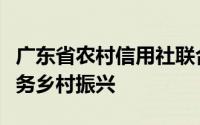 广东省农村信用社联合社：深耕本土金融，服务乡村振兴
