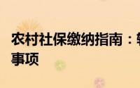 农村社保缴纳指南：轻松了解缴纳流程与注意事项