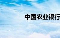 中国农业银行代码查询指南